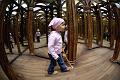 20100509DSC_3507