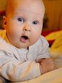 20101024DSC_0062