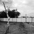 R0012164