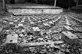 DSC_0171_BW