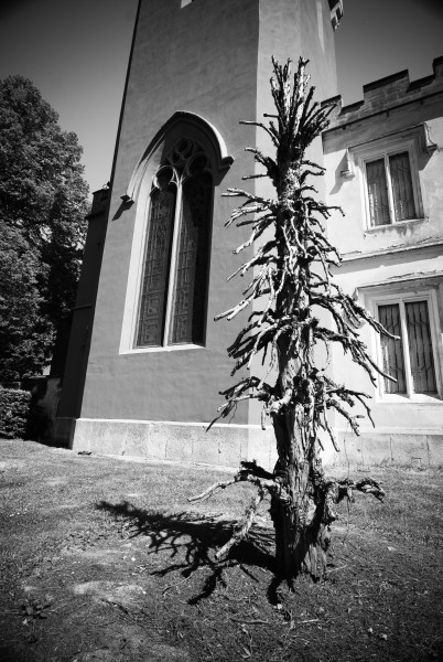 DSC_4087.jpg - Hr�dek u Nechanic