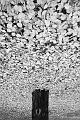 P1030026_BW