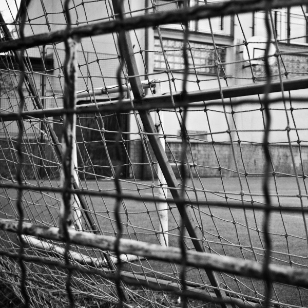 20100228P1040963.jpg - Sítě