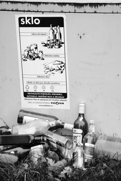 20101030DSC_0720.jpg - Sklo