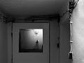20100126P1040492