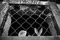 20100605P1070104