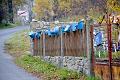 20101030DSC_0719