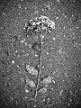 P1130258
