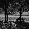 2012DSC_6243