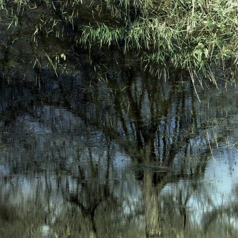 P1000616.jpg - -