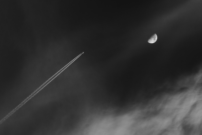 DSC_7337.jpg
