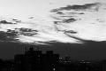 P1090289BW