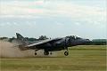 Harrier1