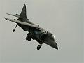 Harrier2
