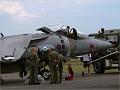 Harrier3