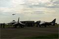 Harrier4