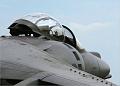 harrier5