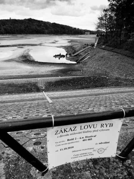 P1100139.jpg