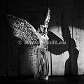 DSC_2215_BW